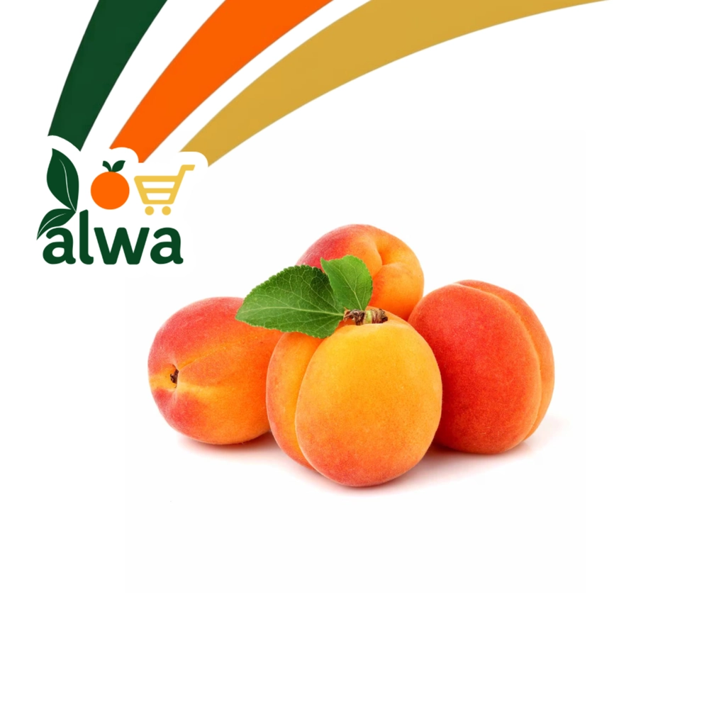 مشمش في برایەتی — علوة ALWA
