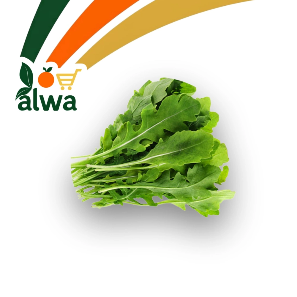 جەرجیر لە گۆڕان — عەلوە ALWA