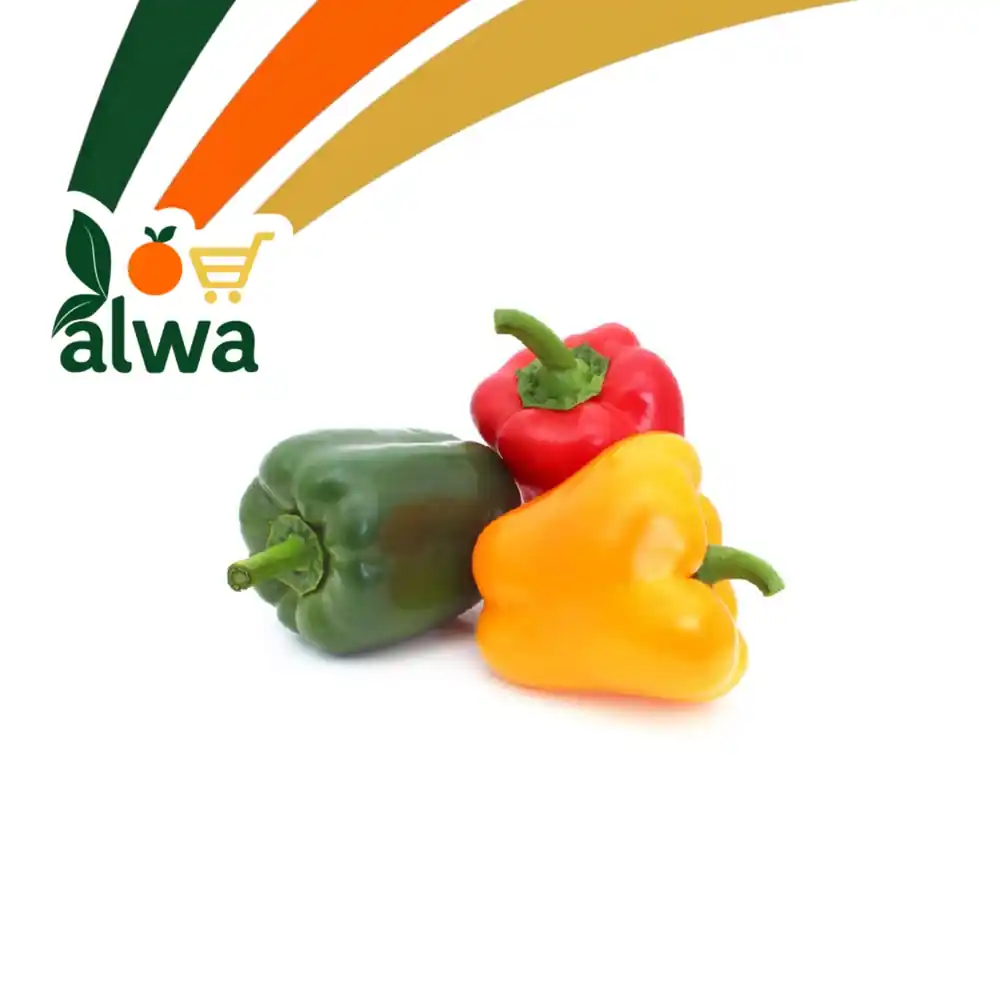 بیبەری ڕەنگاوڕەنگ لە ڕاپەڕین — عەلوە ALWA