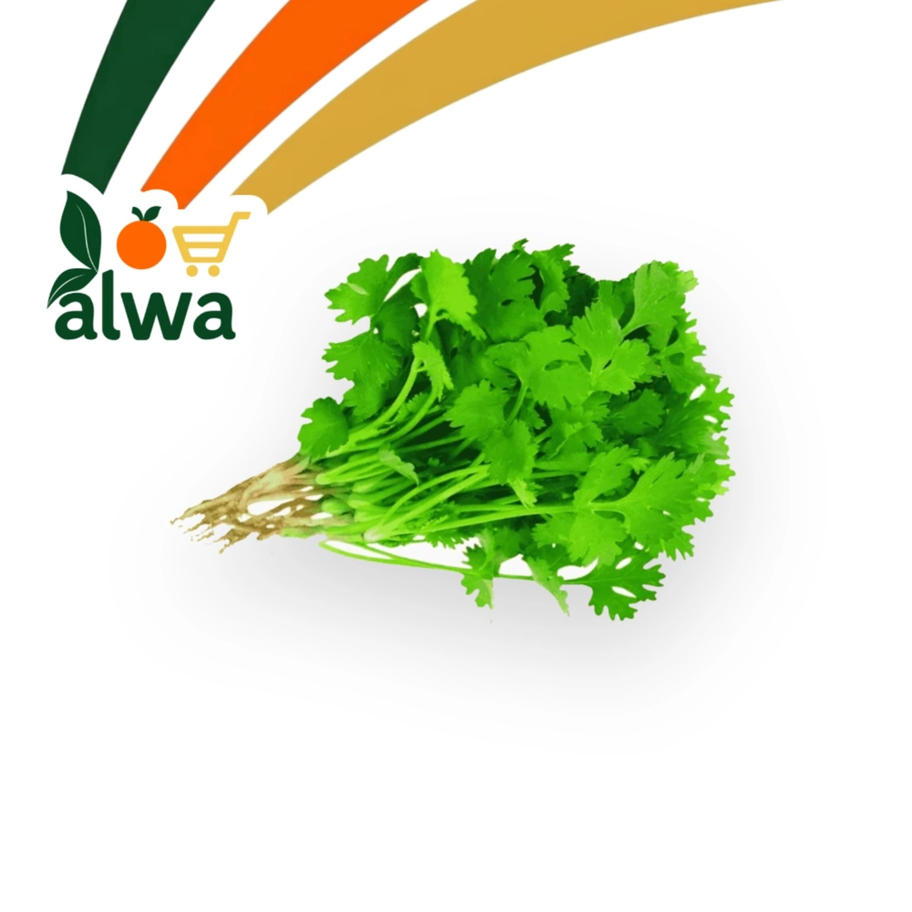 گشنیز لە ڕاپەڕین — عەلوە ALWA