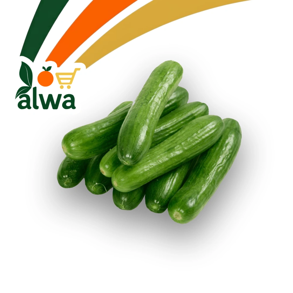 خەیار لە ڕاپەڕین — عەلوە ALWA