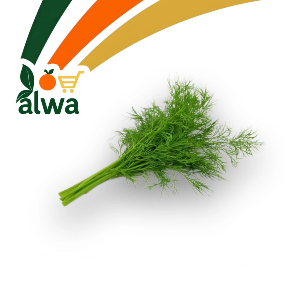 شەوێت لە نێرگەز — عەلوە ALWA