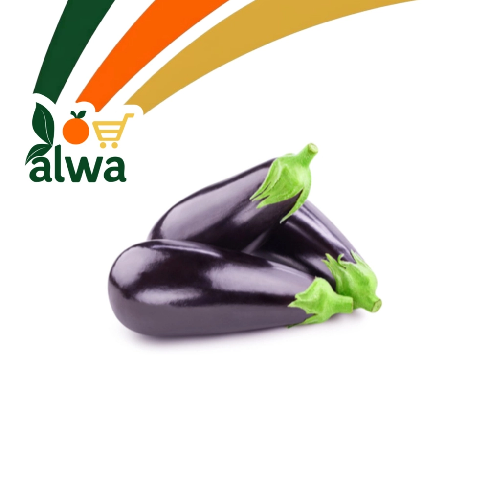 بادمجان لە گۆڕان — عەلوە ALWA