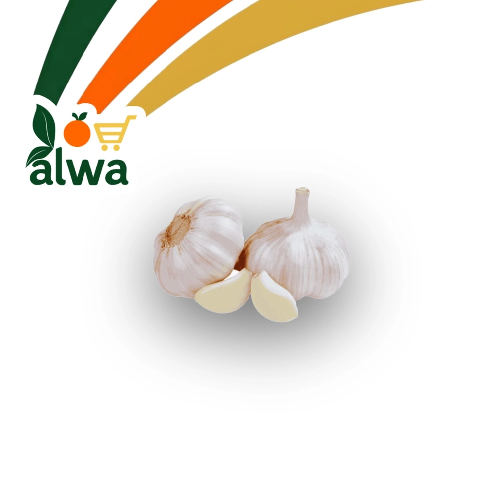 ثوم في برایەتی — علوة ALWA