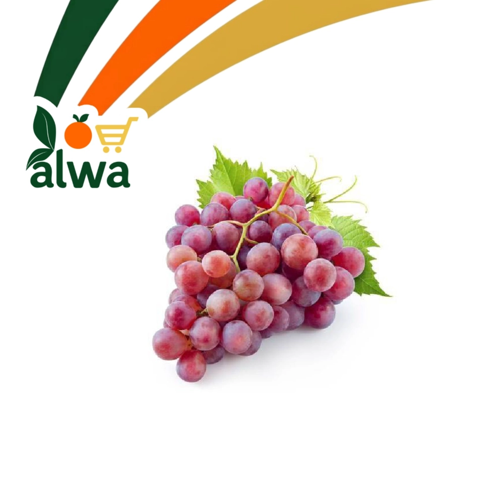 ترێ لە ڕاپەڕین — عەلوە ALWA