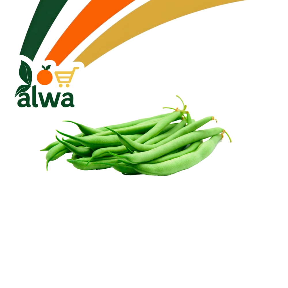 لۆبیای سەوز لە ڕاپەڕین — عەلوە ALWA