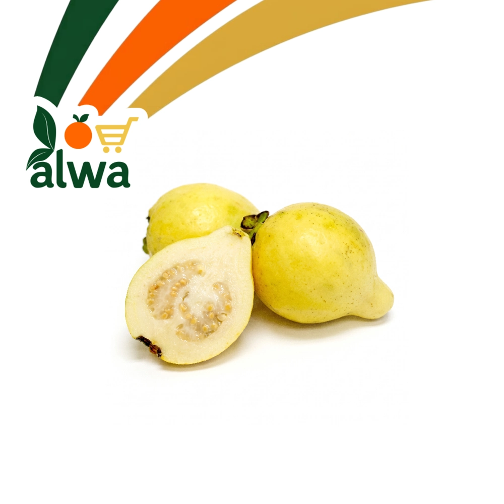 گوایا لە نێرگەز — عەلوە ALWA