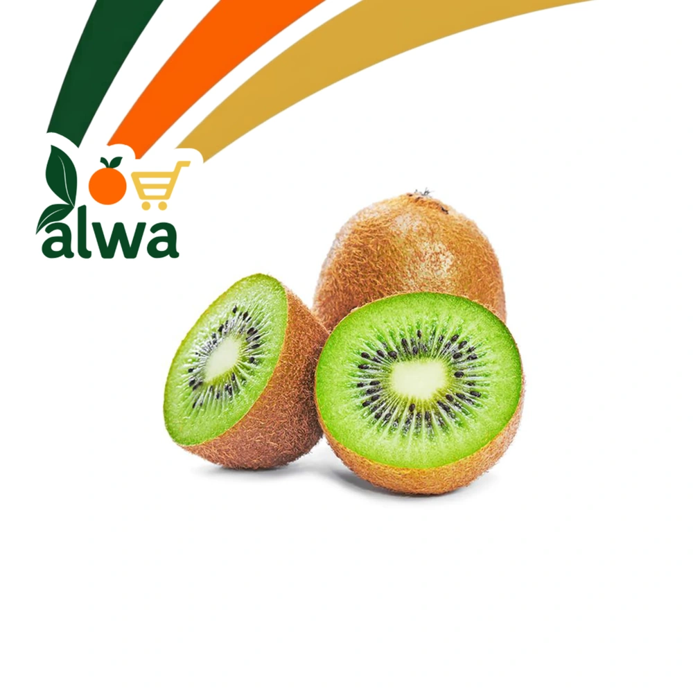 کیوی لە ڕاپەڕین — عەلوە ALWA