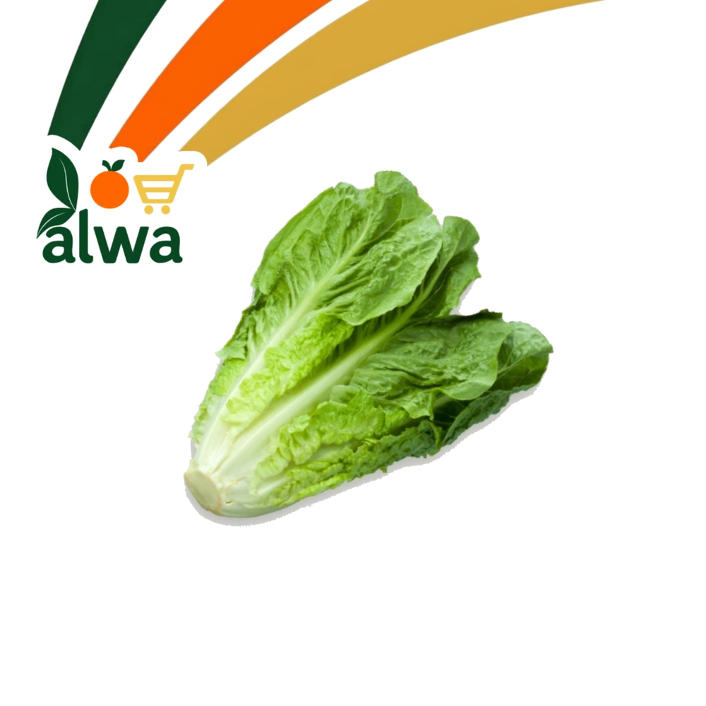 خس في أور — علوة ALWA