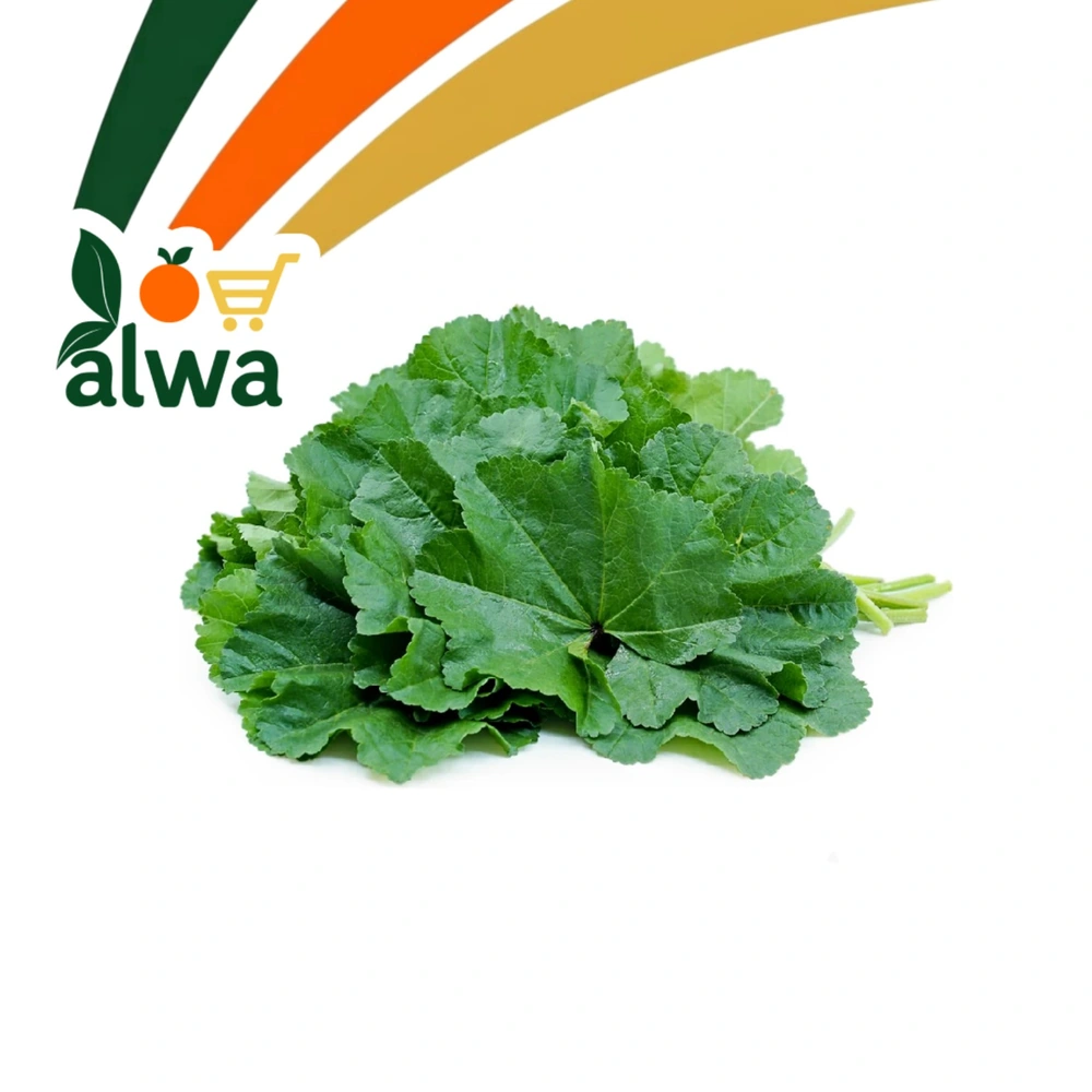 خبازة في برایەتی — علوة ALWA