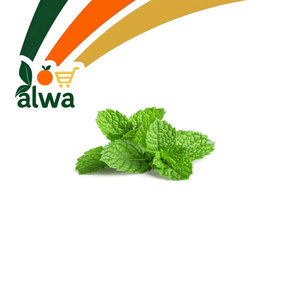 نعنع في أور — علوة ALWA