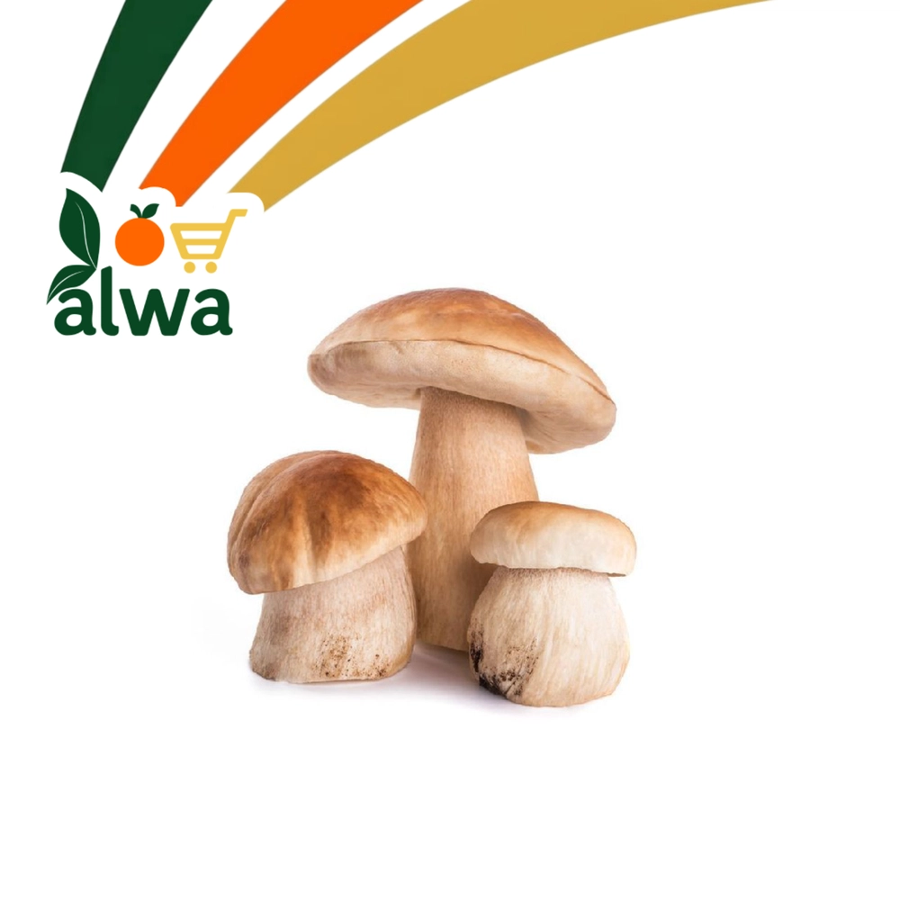 قارچک لە نێرگەز — عەلوە ALWA