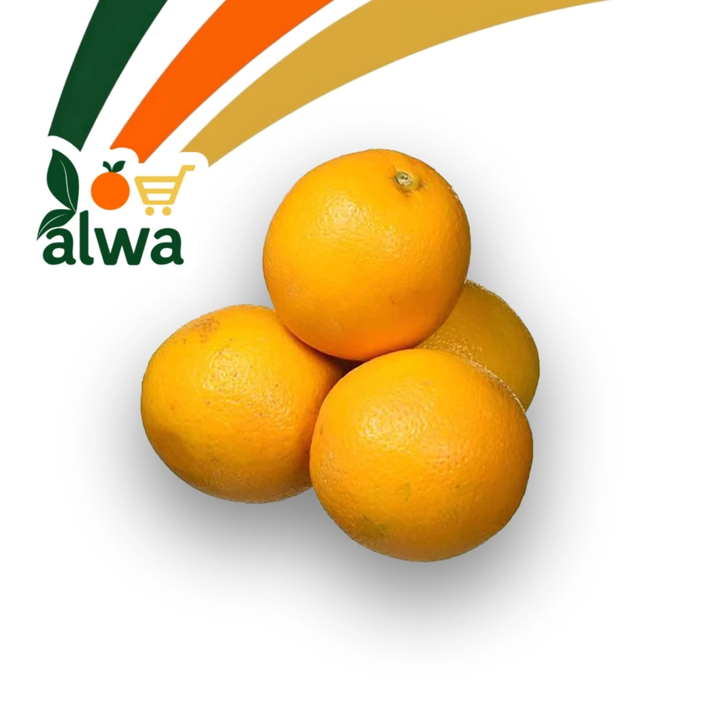 برتقال في برایەتی — علوة ALWA