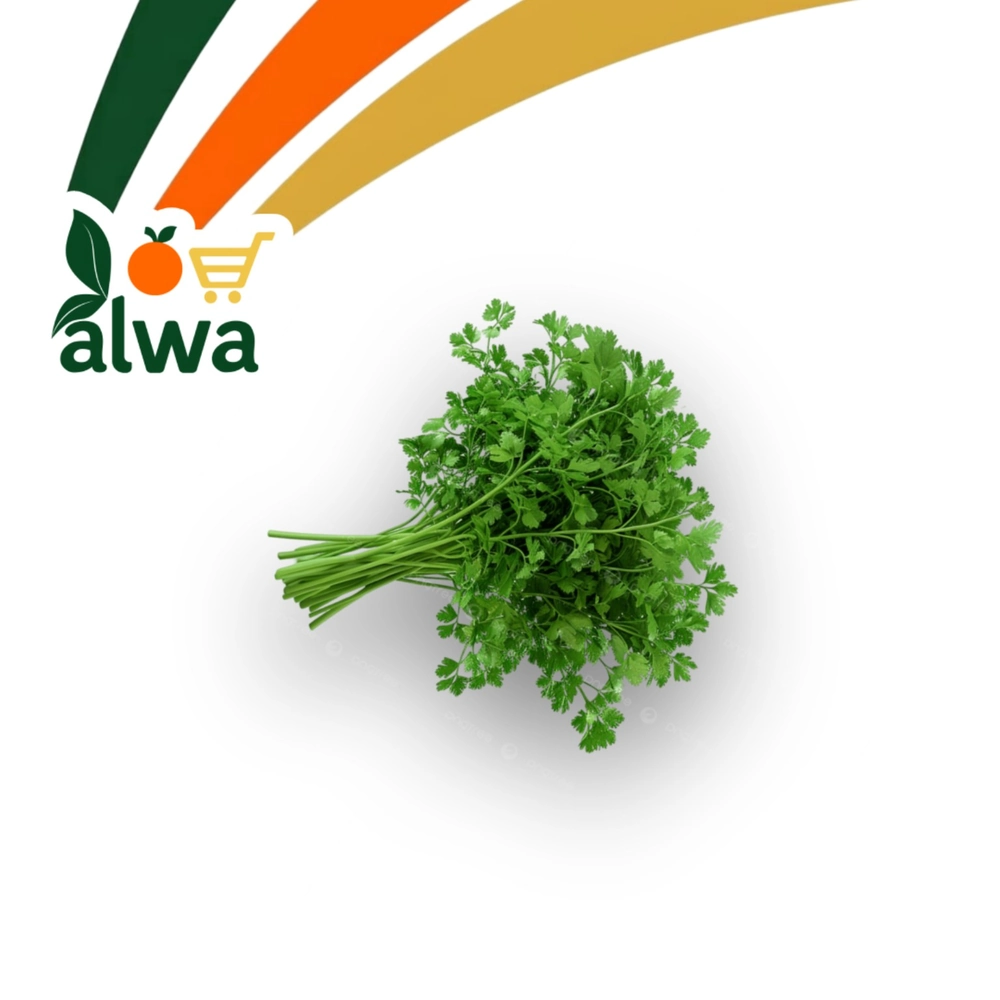 بقدونس في حي بابل — علوة ALWA