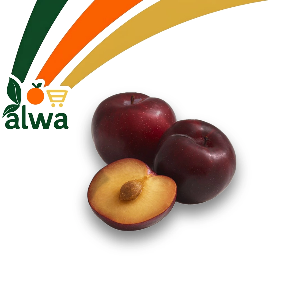 برقوق في حي بابل — علوة ALWA