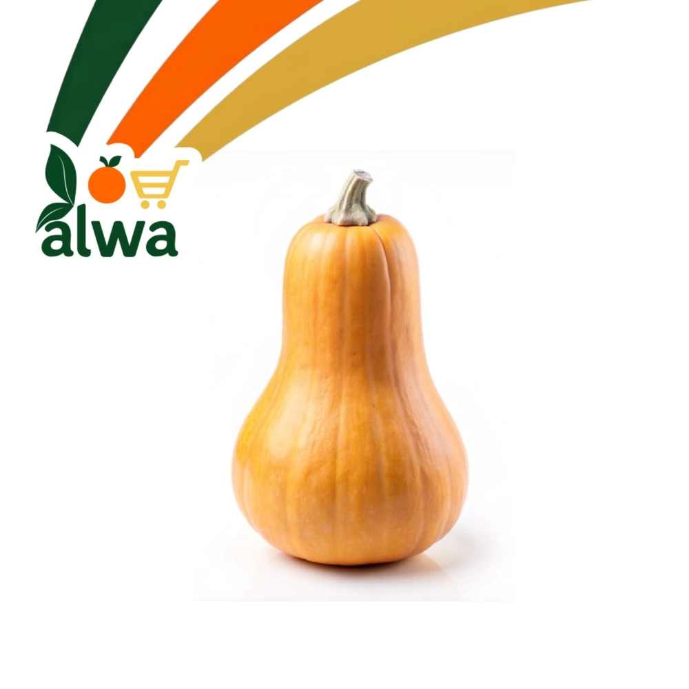 کەدوو لە گۆڕان — عەلوە ALWA