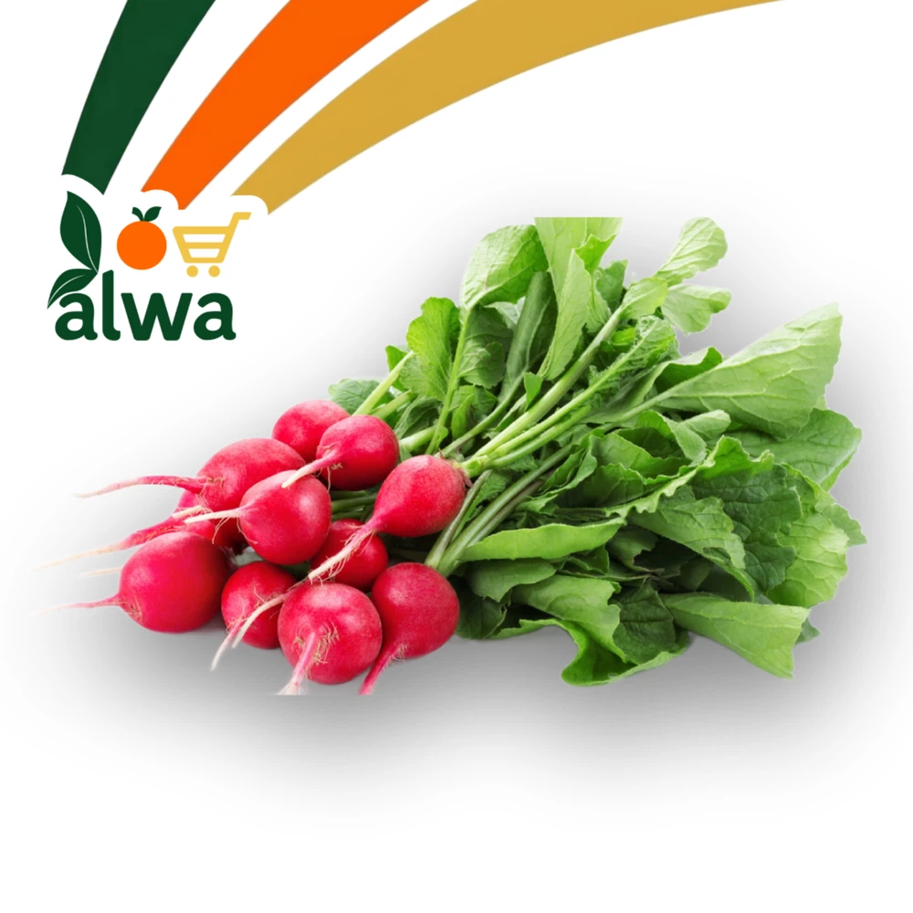 فجل أحمر في أور — علوة ALWA