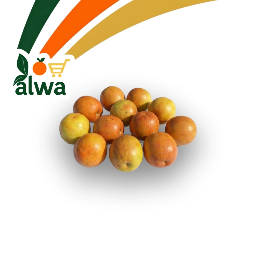 سیدر لە گۆڕان — عەلوە ALWA