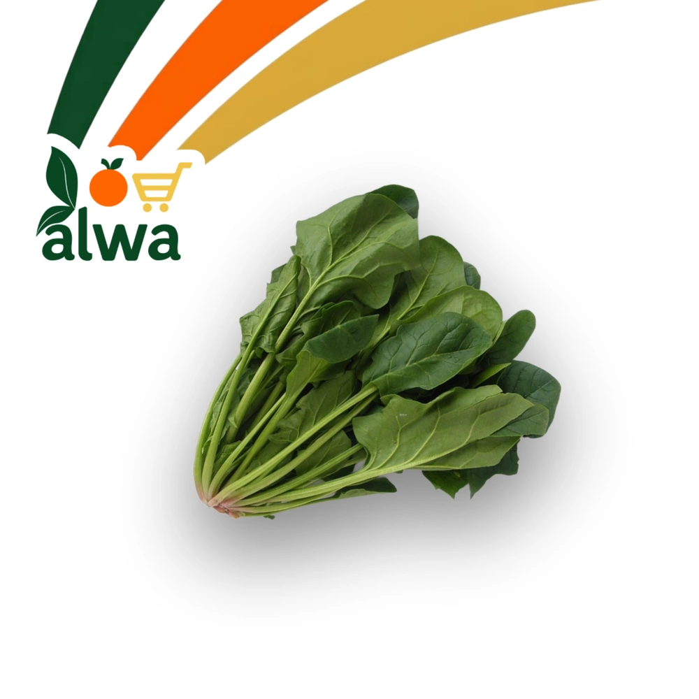 سپێناخ لە ڕاپەڕین — عەلوە ALWA