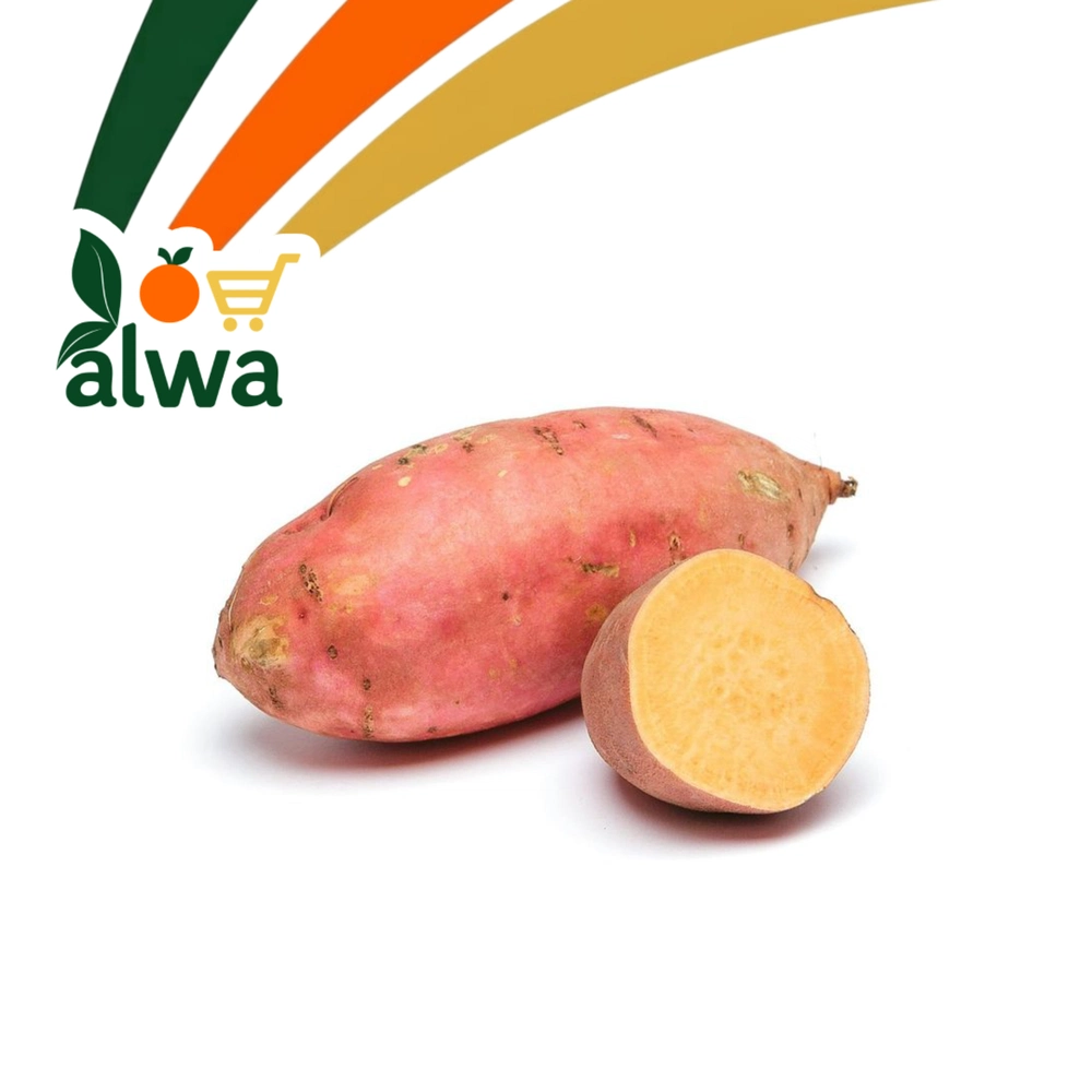 بطاطا حلوة في حي بابل — علوة ALWA
