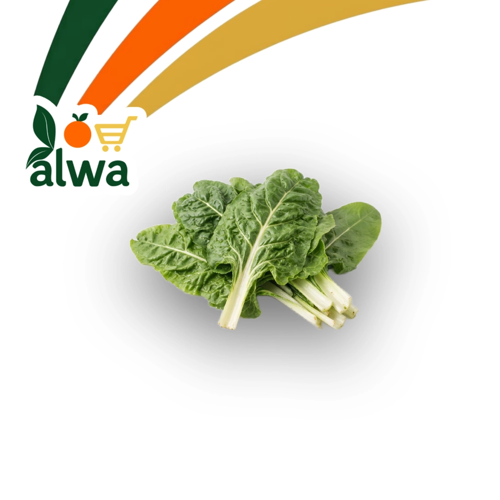 سەلەق لە نێرگەز — عەلوە ALWA