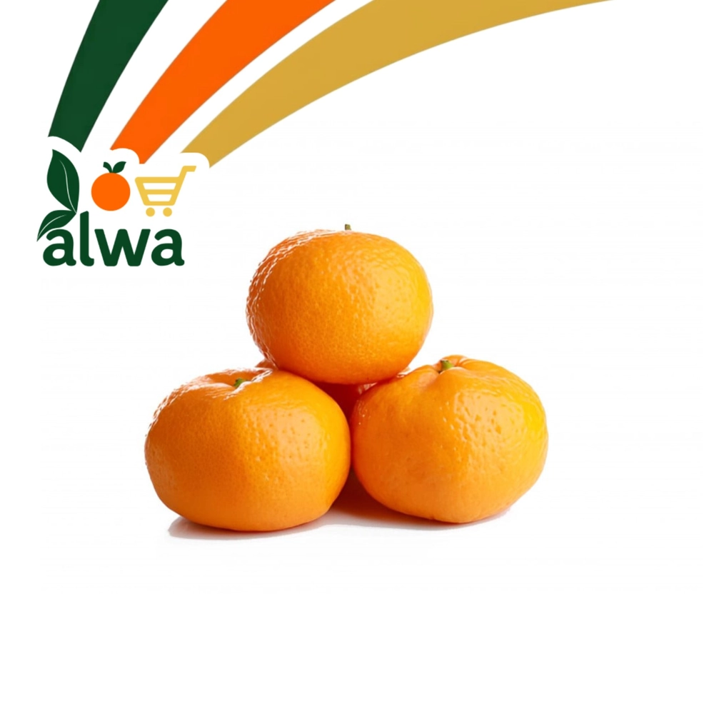 پرتەقاڵی مندەلین لە گۆڕان — عەلوە ALWA