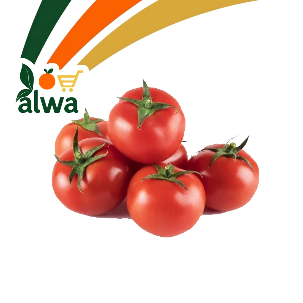 طماطم في الكرمة — علوة ALWA