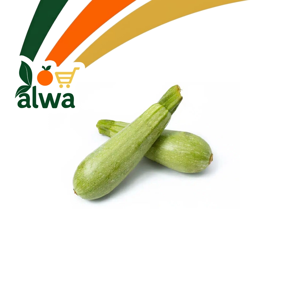 كوسا في باداوە — علوة ALWA